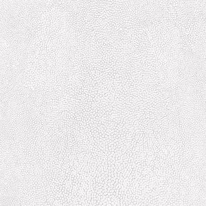 G67472 ― Eades Discount Wallpaper & Discount Fabric