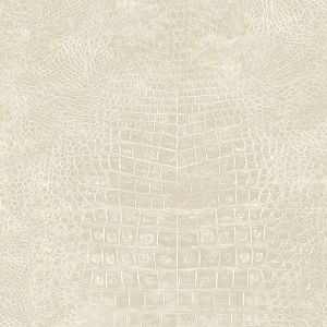 G67504 ― Eades Discount Wallpaper & Discount Fabric