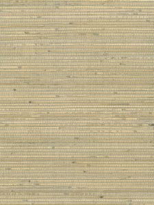 GC1105  ― Eades Discount Wallpaper & Discount Fabric