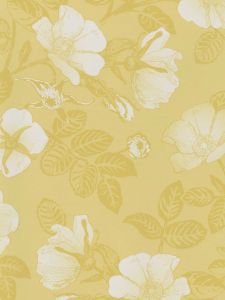 GC29812 ― Eades Discount Wallpaper & Discount Fabric