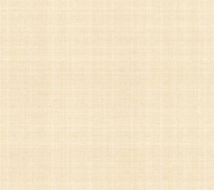 GN2496 ― Eades Discount Wallpaper & Discount Fabric