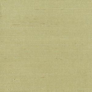 GR1089 ― Eades Discount Wallpaper & Discount Fabric