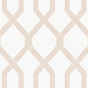GT4554 ― Eades Discount Wallpaper & Discount Fabric