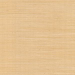 GV0111NW ― Eades Discount Wallpaper & Discount Fabric