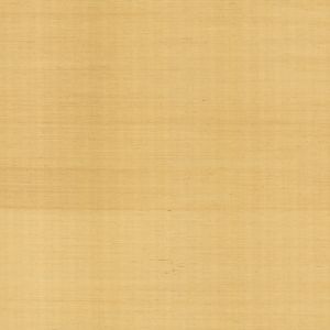GV0114NW ― Eades Discount Wallpaper & Discount Fabric