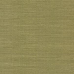 GV0145NW ― Eades Discount Wallpaper & Discount Fabric