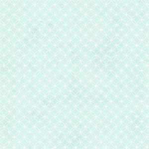 HAS01301 ― Eades Discount Wallpaper & Discount Fabric
