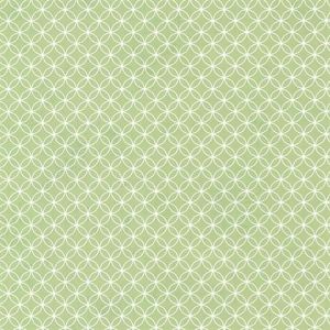 HAS01304 ― Eades Discount Wallpaper & Discount Fabric
