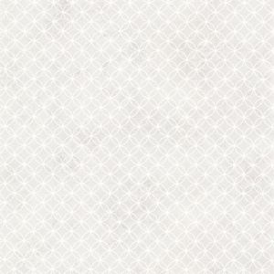 HAS01305 ― Eades Discount Wallpaper & Discount Fabric