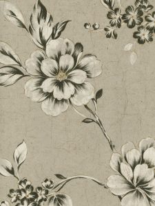 HAV40816  ― Eades Discount Wallpaper & Discount Fabric