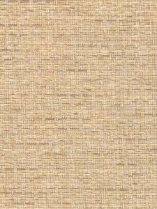  HBD9009  ― Eades Discount Wallpaper & Discount Fabric