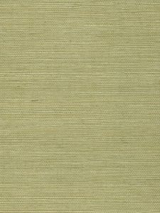 HBD9039  ― Eades Discount Wallpaper & Discount Fabric