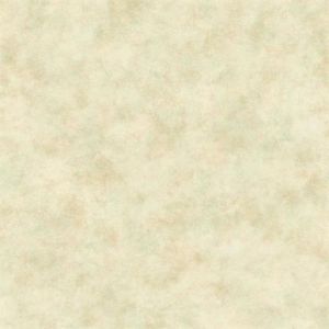 HP0317 ― Eades Discount Wallpaper & Discount Fabric