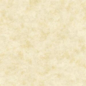 HP0319 ― Eades Discount Wallpaper & Discount Fabric