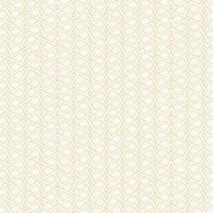 HS2100 ― Eades Discount Wallpaper & Discount Fabric