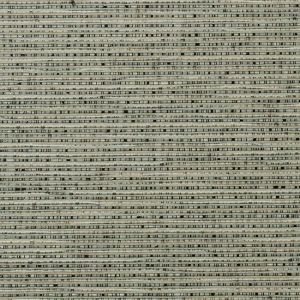 HW3559 ― Eades Discount Wallpaper & Discount Fabric