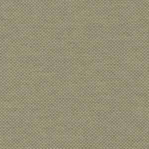 HW3625 ― Eades Discount Wallpaper & Discount Fabric