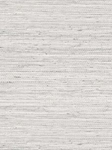 JC31300 ― Eades Discount Wallpaper & Discount Fabric