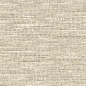 JP10306 ― Eades Discount Wallpaper & Discount Fabric