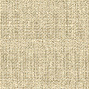 JP11205 ― Eades Discount Wallpaper & Discount Fabric
