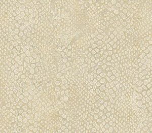 KD50408 ― Eades Discount Wallpaper & Discount Fabric