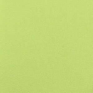 KR151 ― Eades Discount Wallpaper & Discount Fabric