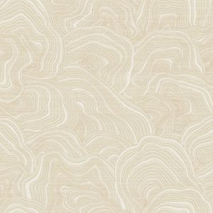 KT2161 ― Eades Discount Wallpaper & Discount Fabric