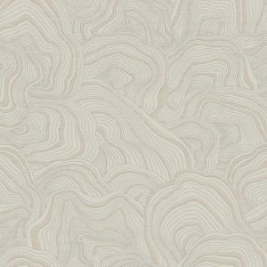 KT2164 ― Eades Discount Wallpaper & Discount Fabric