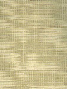 LTM243 ― Eades Discount Wallpaper & Discount Fabric