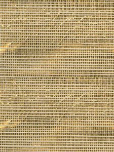  LTM261 ― Eades Discount Wallpaper & Discount Fabric
