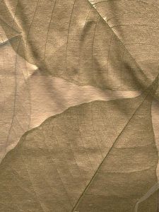 LTM305 ― Eades Discount Wallpaper & Discount Fabric
