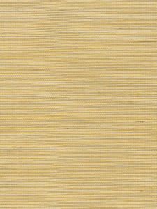 M1041 ― Eades Discount Wallpaper & Discount Fabric