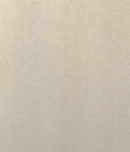 MC41909 ― Eades Discount Wallpaper & Discount Fabric