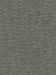N21895  ― Eades Discount Wallpaper & Discount Fabric