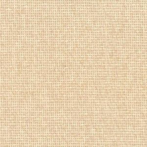 NA506 ― Eades Discount Wallpaper & Discount Fabric