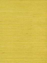NR153 ― Eades Discount Wallpaper & Discount Fabric