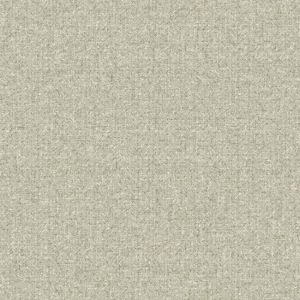 NR1542 ― Eades Discount Wallpaper & Discount Fabric