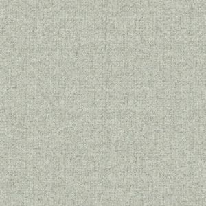  NR1543 ― Eades Discount Wallpaper & Discount Fabric