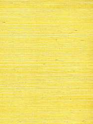NR175 ― Eades Discount Wallpaper & Discount Fabric