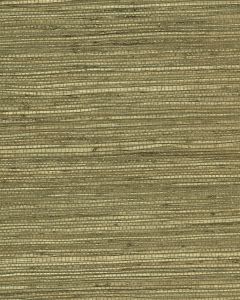 NS7009 ― Eades Discount Wallpaper & Discount Fabric