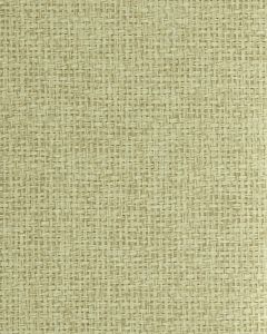 NS7013 ― Eades Discount Wallpaper & Discount Fabric