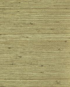 NS7032 ― Eades Discount Wallpaper & Discount Fabric