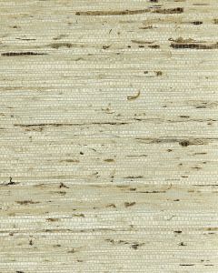 NS7035 ― Eades Discount Wallpaper & Discount Fabric
