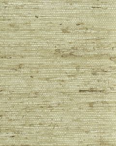 NS7036 ― Eades Discount Wallpaper & Discount Fabric