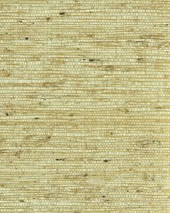 NS7037 ― Eades Discount Wallpaper & Discount Fabric