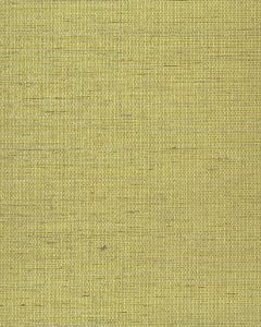 NS7063 ― Eades Discount Wallpaper & Discount Fabric