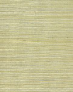NS7069 ― Eades Discount Wallpaper & Discount Fabric