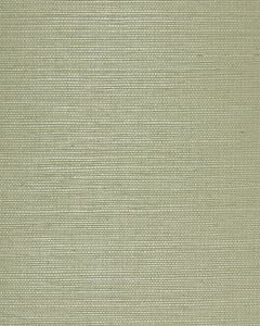 NS7072 ― Eades Discount Wallpaper & Discount Fabric
