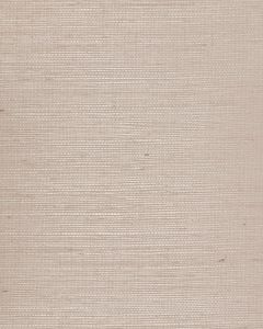 NS7101 ― Eades Discount Wallpaper & Discount Fabric