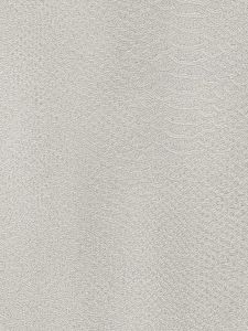 NS781250 ― Eades Discount Wallpaper & Discount Fabric